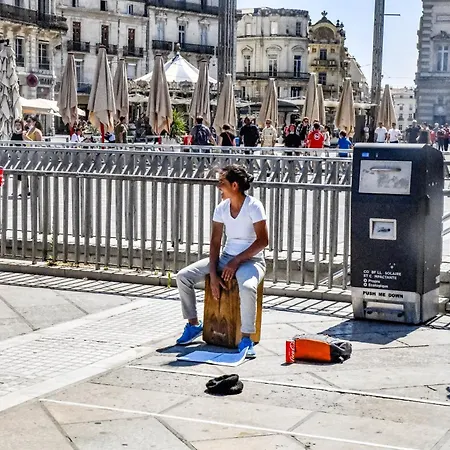 Inzo Montpellier